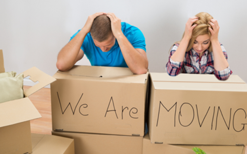 Moving Services Experts
