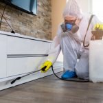 Pest Proofing