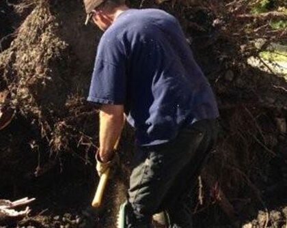 weed control in calgary