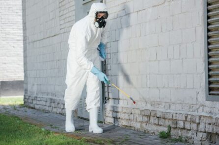 pest control service in Red Deer